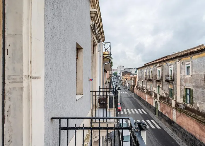 And Comfy קטאניה